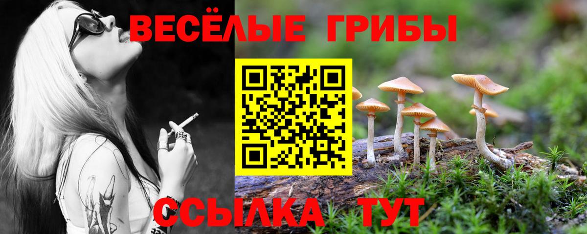 МЕФ   Cocaine  Аксай  Гашиш  НБОМе  ГАШ  Вход с VPN 