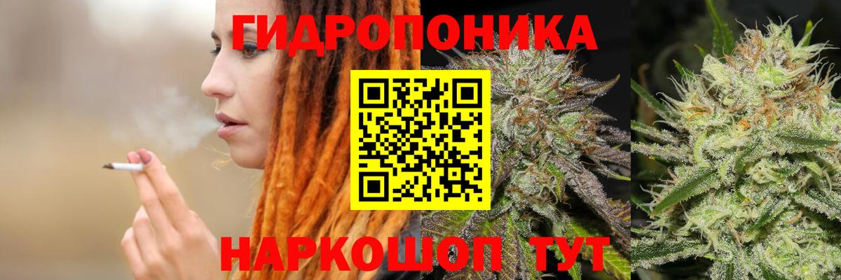 Бошки Шишки THC 21% Аксай